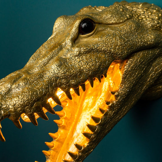 Wandleuchte Alberto Aligatore