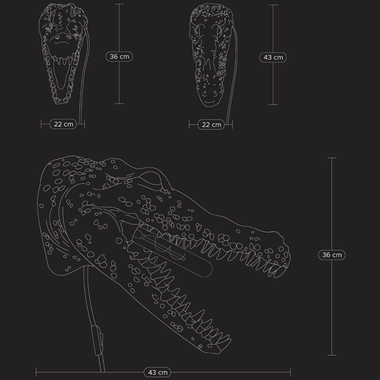 Wandleuchte Alberto Aligatore