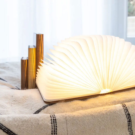 🎁 Buchlampe Walnuss (100% off)