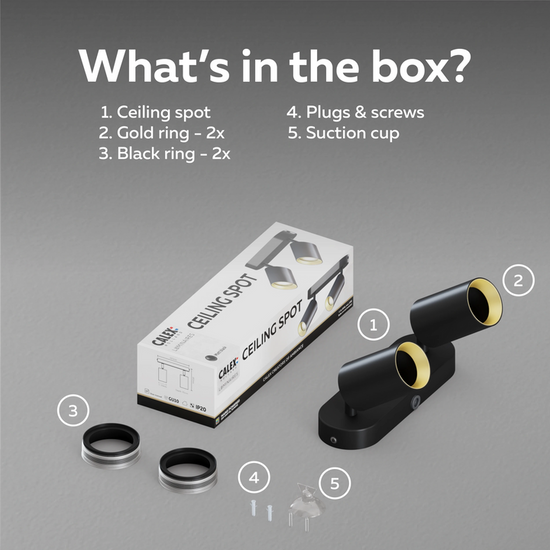 Calex Deckenspot 2×GU10 – oval / Schwarz – Aluminium-Deckenstrahler Kit