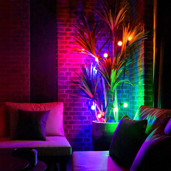 Calex Lichterkette für den Aussenbereich - 10 Lampen - RGB