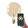 Calex Globe G125 Smart LED Filament Gold Curly / 7 Watt E27