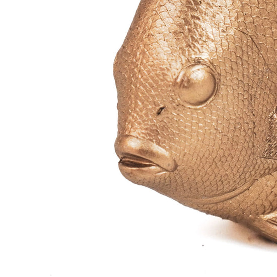Goldplattfisch Flat Mate, gold