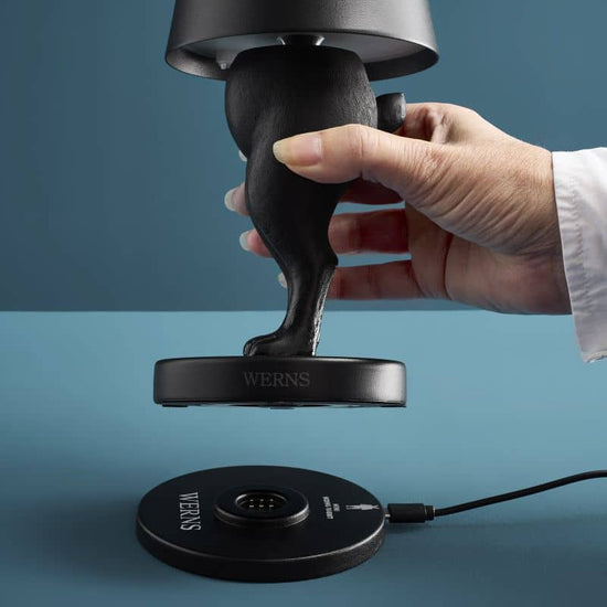 Tischleuchte Hiding Rabbit Schwarz / Kabellos, USB