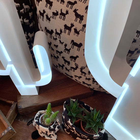 LED-Dekolampe Kaktus Outline, gross (80cm)