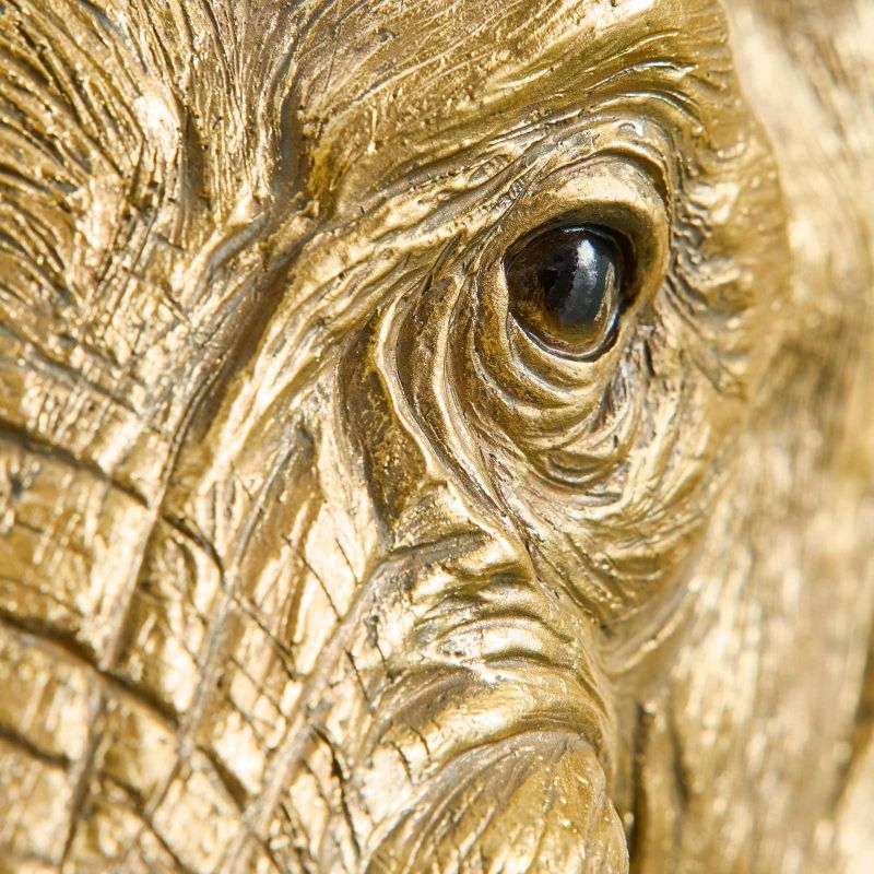 Auge des Elefanten Jumbo, Nahaufnahme