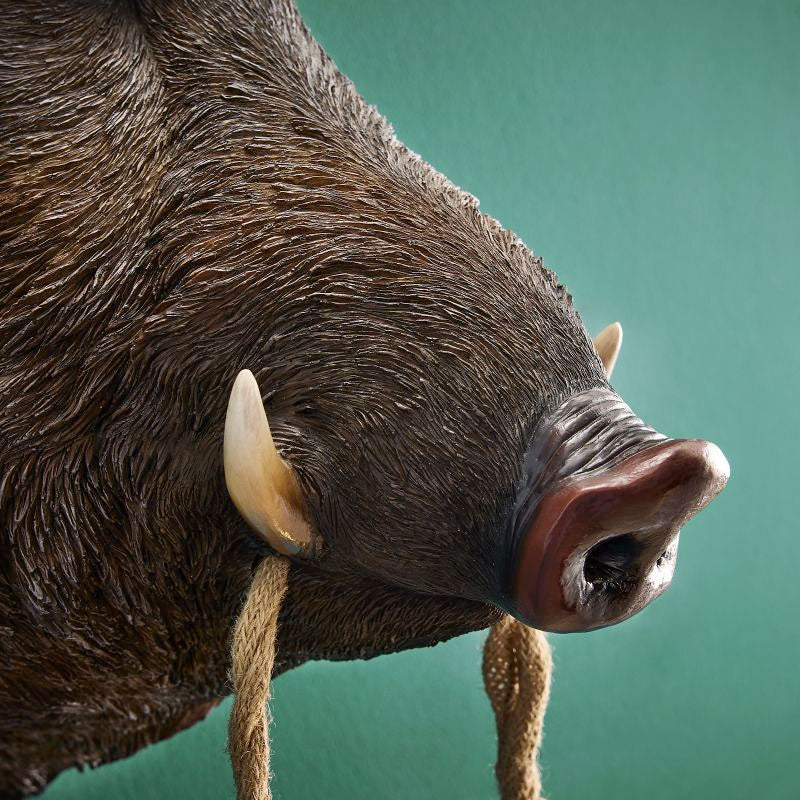 Kopf des Wildschweins Willy von der Seite, Nahaufnahme