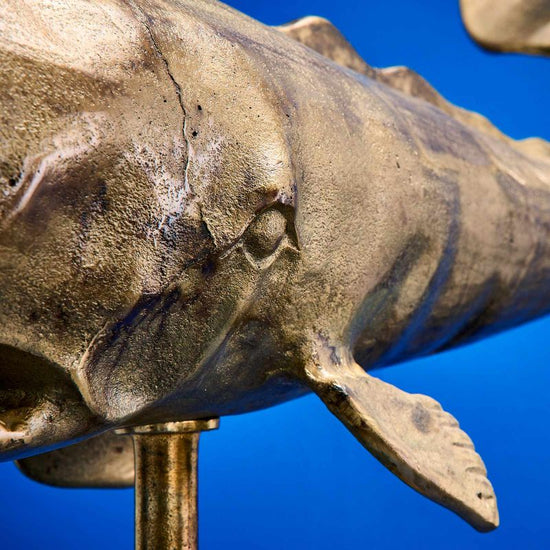 Pottwal, gold Aluminium