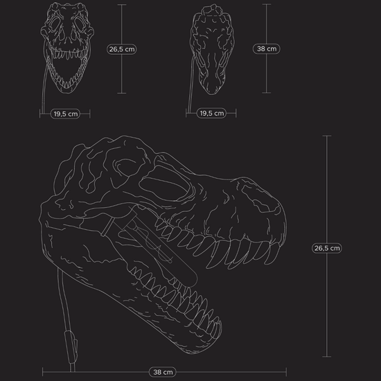 Wand- & Tischleuchte Rexy