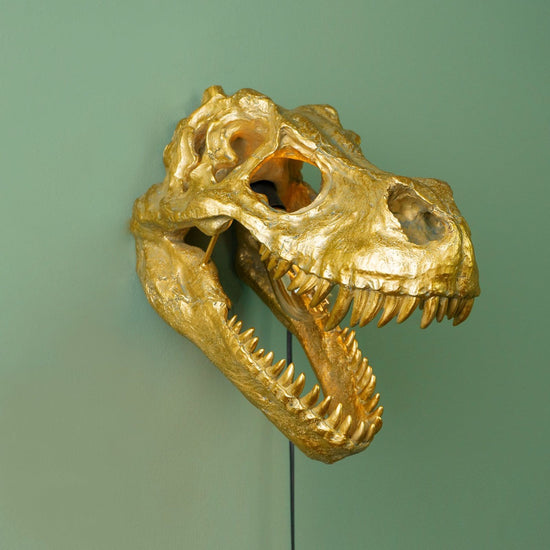 Wand- & Tischleuchte Rexy