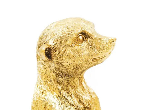 Erdmännchen Frank gold