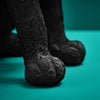 Tischleuchte Katze Chouchou schwarz Details Katzenpfoten