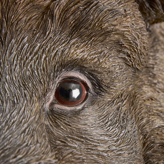 Wandleuchte Willy, braun