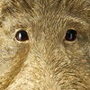 Wandleuchte Wildschwein Willy gold