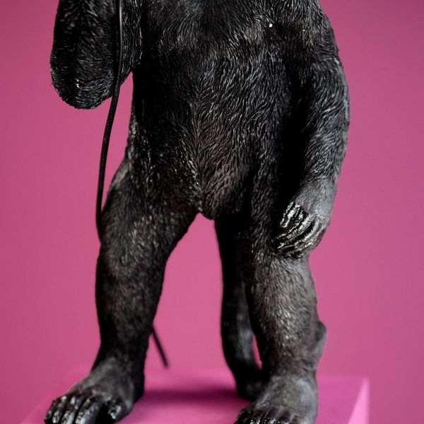 Stehleuchte Koko, stehend, schwarz