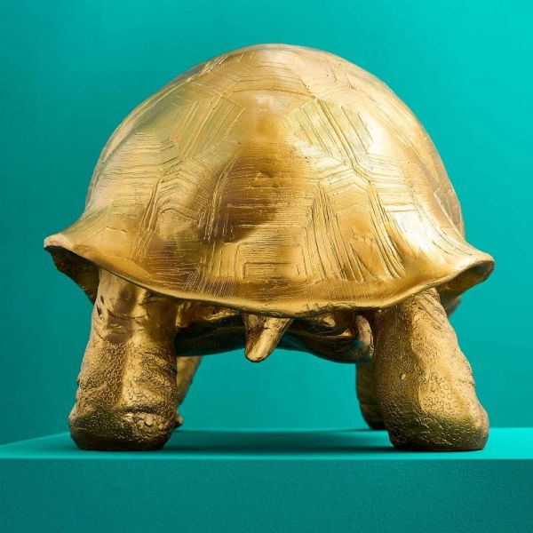 Schildkröte Stormy, gold